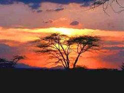 武汉到肯尼亚旅游 武汉到肯尼亚旅游线路 肯尼亚（马赛2晚+纳库鲁+树顶公园）9天迁徙之旅
