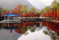 十月武汉到韩国旅游哪个旅行团好 十月武汉到韩国旅游 浪漫济州纯玩休闲五日游