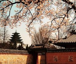 1月去韩国旅游要多少钱 武汉到韩国旅游团购 爱尚韩国炫彩6日游（首尔+济州）