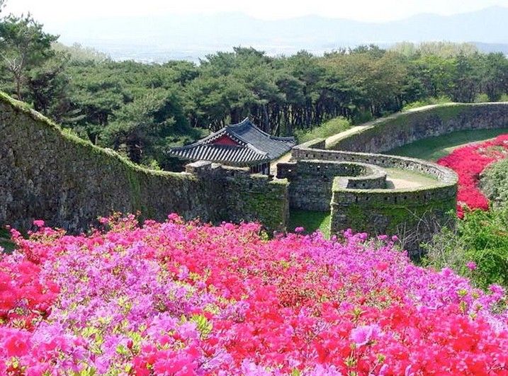 七月武汉到韩国旅游线路有哪些 韩国旅游景点推荐 韩国炫彩经典五日（清州+首尔+济州）
