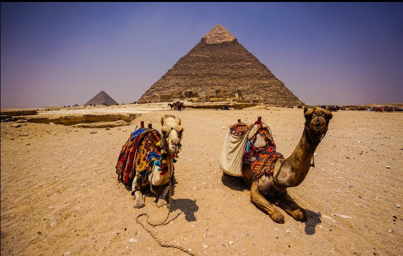 武汉到埃及旅游团价格  武汉直飞埃及多少钱 畅享埃及全景8日