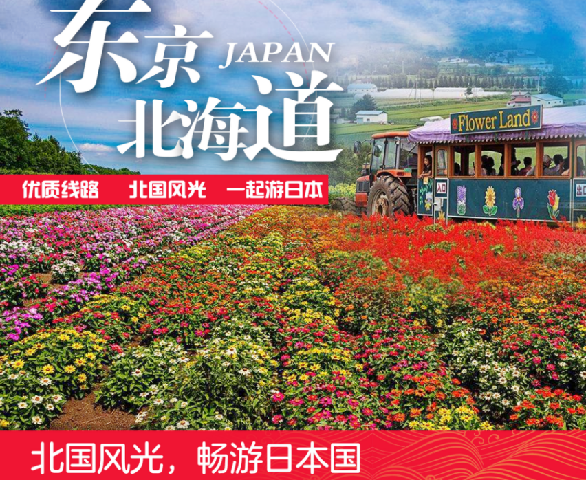 武汉到日本北海道旅游要多少钱 日本旅游跟团游 东京+北海道+浪漫小樽+东京自由活动7日游